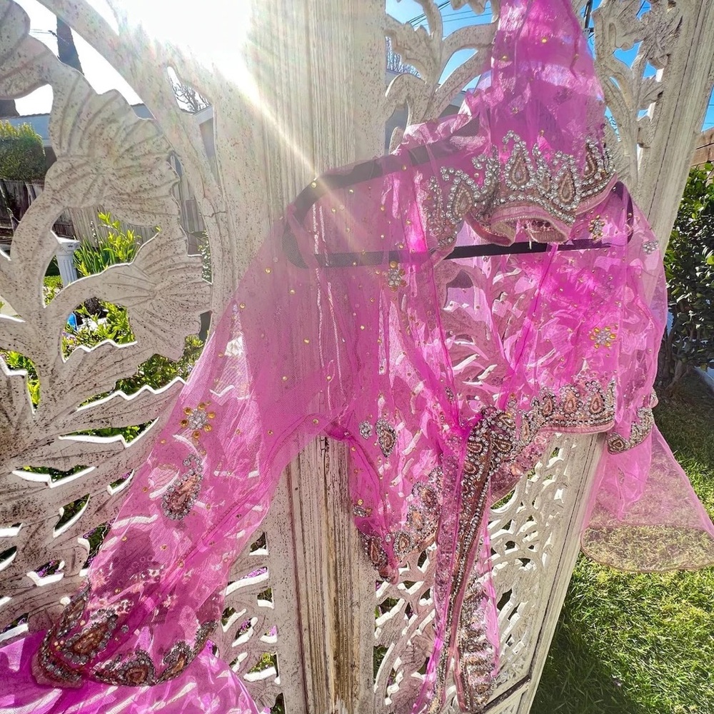 Handmade Pink embellished Hooded Saree Top